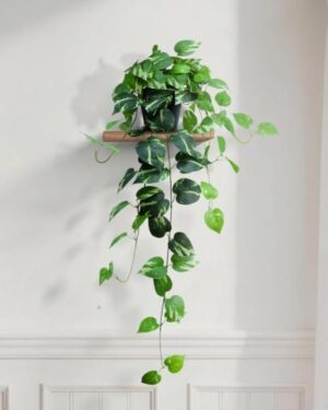HIFORESTAR Fake Pothos Hanging Plants, 33" Potted Artificial Hanging Plant, Faux Pothos Silk Vines Hanging Plant Greenery for Home Living Room Indoor Decor