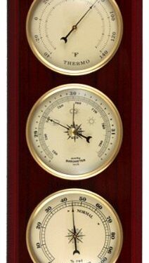 Ambient Weather YG315 Traditional Weather Station