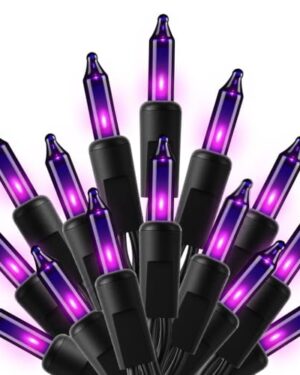 Brightown Purple Halloween Mini Lights, 50 Count 10 Feet Mini String Lights