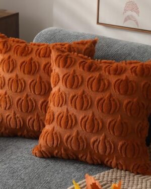 DFXSZ Fall Pillow Covers 18x18 2Pcs Rust Pumpkin Fall Decorations for Home