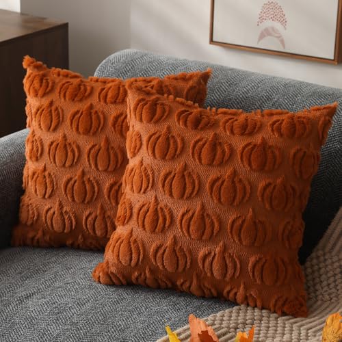 DFXSZ Fall Pillow Covers 18x18 2Pcs Rust Pumpkin Fall Decorations for Home