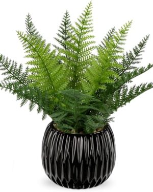 DILATATA Faux Plant Indoor in Ceramic Pot 11" Artificial Potted Fern Fake House Plants for Desk Office Bathroom Garden Decoration - Black