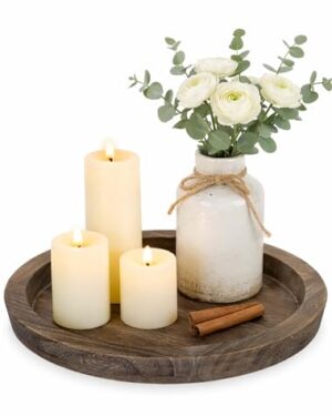Hanobe Round Wooden Candle Holder Trays for Coffee Table, Distressed Finish