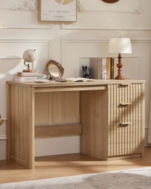 LEYAOYAO Office Desk 48" with 3 Drawers Storage File Cabinet