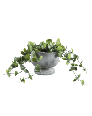 Mainstays Faux Greenery in Cement Pot, 6.25" H x 9.5" W x 9.5" D, Indoor Artificial Plant