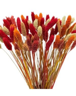 MXBNCYA 100Pcs Fall Dried Flowers Stems Natural Dried Pampas Grass Bouquets Color Mix Gem Grass Artificial Dried Plants Boho Floral for Autumn Vase Filler Floral Arrangements Home Table Wedding