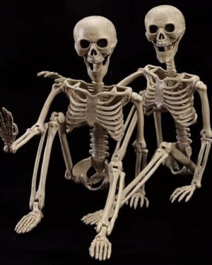 wymulot 2-Pack 40" Pose-N-Stay Halloween Skeletons, Life-Size Full Body Realistic Posable Skeleton with Movable Joints, Spooky Haunted House Decor for Outdoor Yard, Patio & Front Porch
