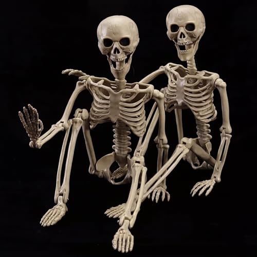 wymulot 2-Pack 40" Pose-N-Stay Halloween Skeletons, Life-Size Full Body Realistic Posable Skeleton with Movable Joints, Spooky Haunted House Decor for Outdoor Yard, Patio & Front Porch