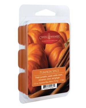 AT HOME | Pumpkin Spice Scented Wax Melts