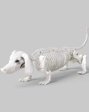 Target | Dachshund Skeleton Halloween Decorative Prop